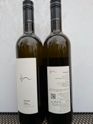Pálava 2024, pozdní sběr, suché bílé víno 